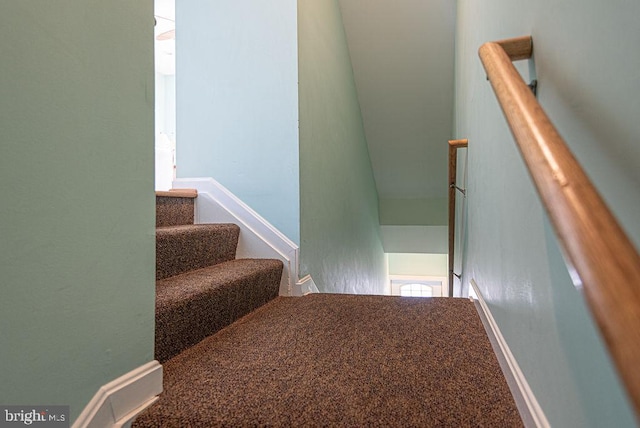 staircase featuring carpet flooring