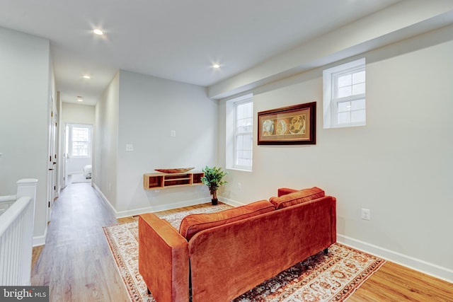 living room featuring wood-type flooring