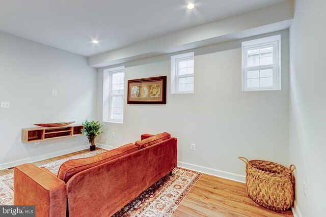 living room featuring hardwood / wood-style flooring and plenty of natural light