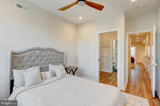 bedroom featuring a walk in closet, a closet, ceiling fan, and light wood-type flooring