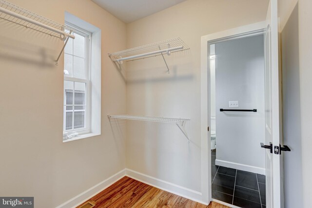 walk in closet featuring wood-type flooring