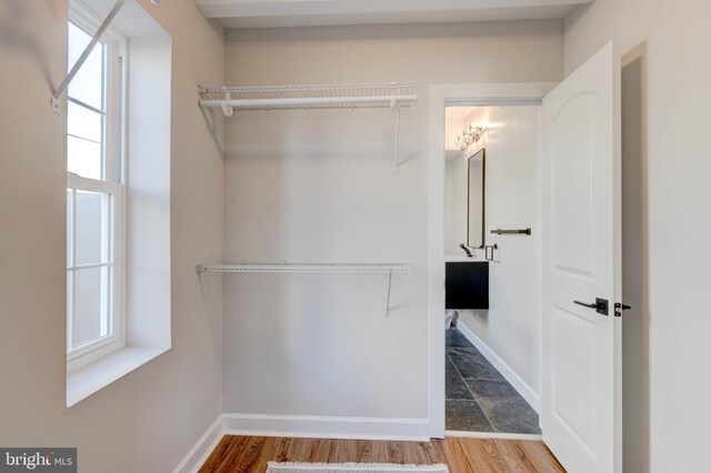 spacious closet featuring hardwood / wood-style floors