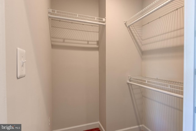 view of spacious closet