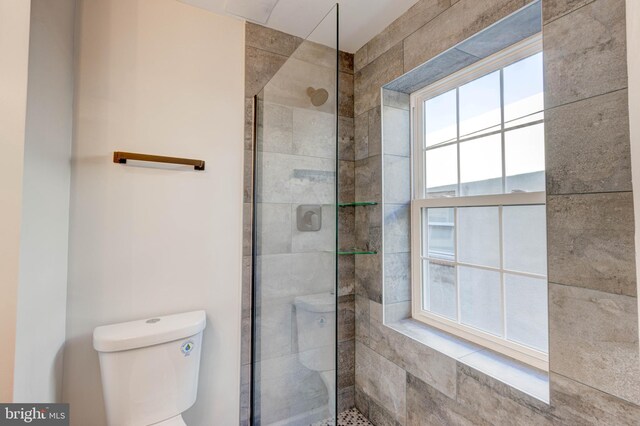 bathroom with a wealth of natural light, toilet, and a shower with door