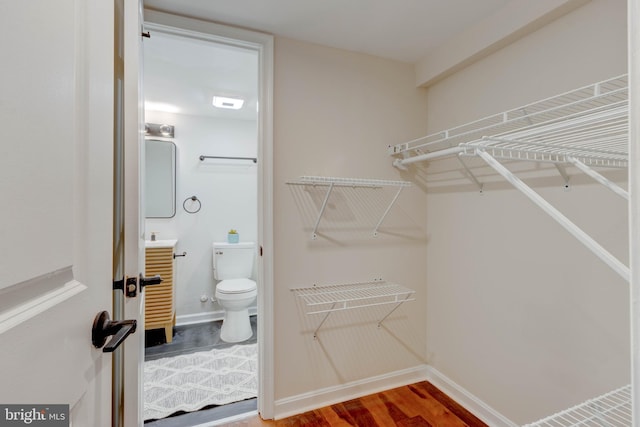 spacious closet with sink and hardwood / wood-style floors