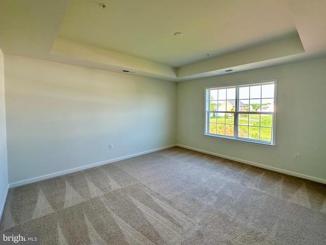 13810 Pulaski Dr Unit 72, Hagerstown, MD 21742 - spare room with a raised ceiling, baseboards, and carpet