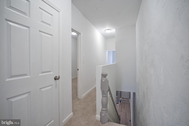 corridor with light colored carpet