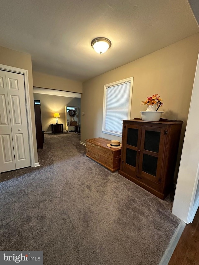 interior space featuring baseboards and carpet flooring