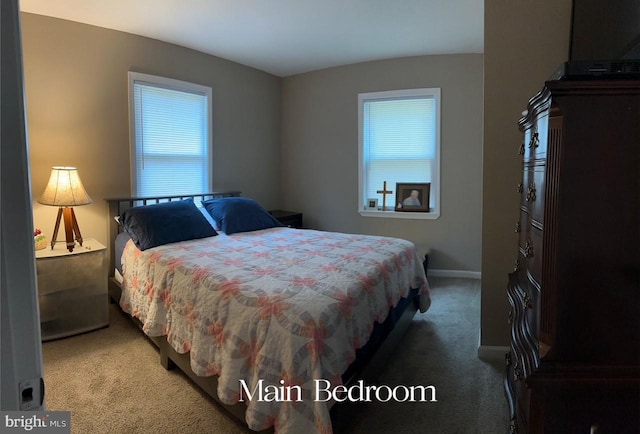 bedroom with baseboards and carpet floors