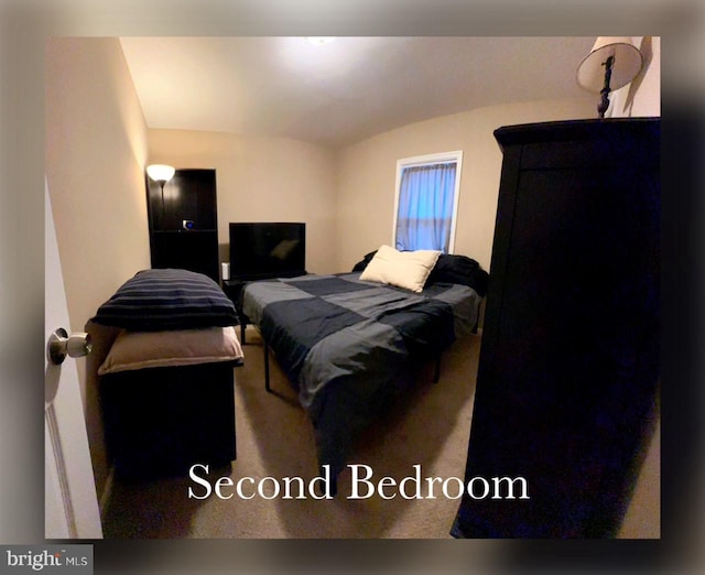 bedroom with vaulted ceiling