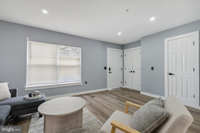 living room featuring wood-type flooring