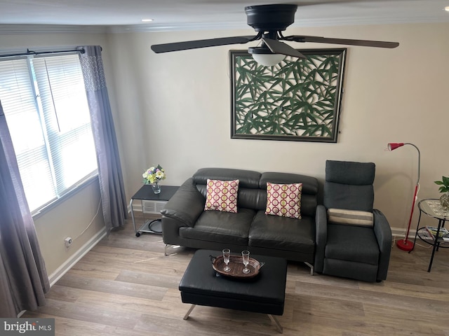 living room featuring ceiling fan, crown molding, and light hardwood / wood-style flooring