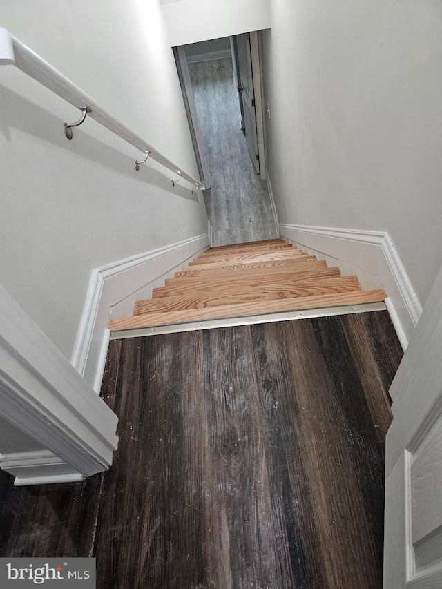 stairway with wood-type flooring