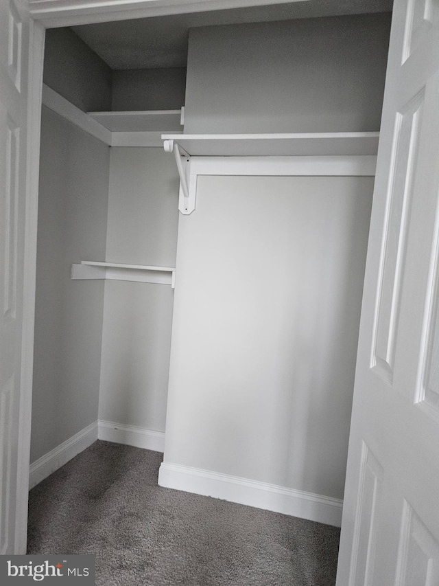 view of closet