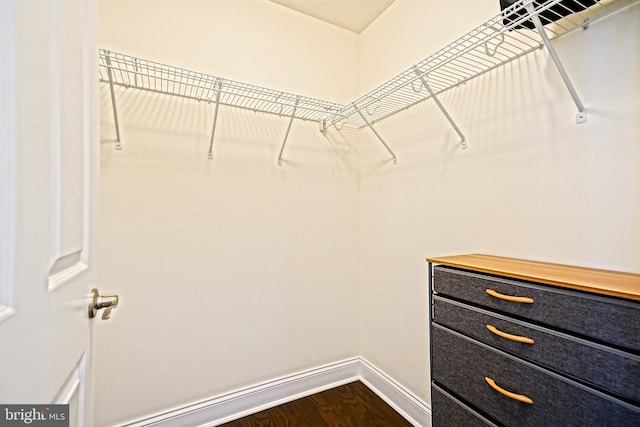 spacious closet with wood-type flooring