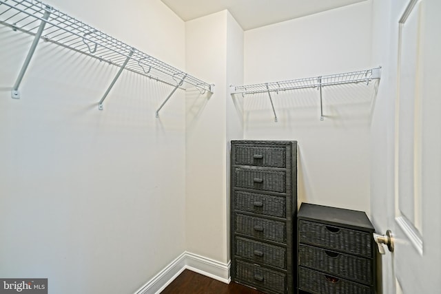 walk in closet featuring hardwood / wood-style flooring