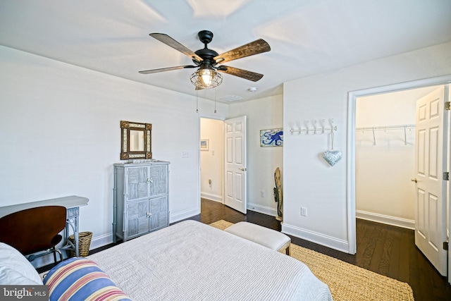 bedroom featuring ceiling fan, a walk in closet, a closet, and dark hardwood / wood-style flooring