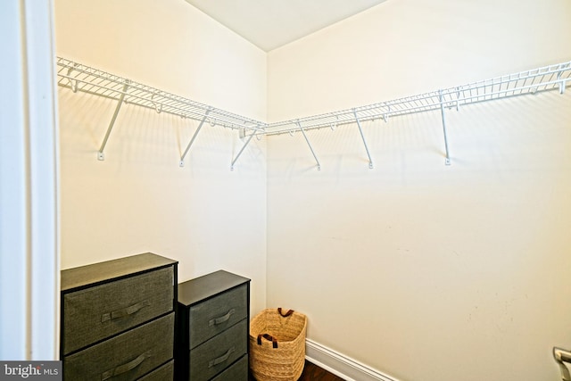 spacious closet featuring wood-type flooring