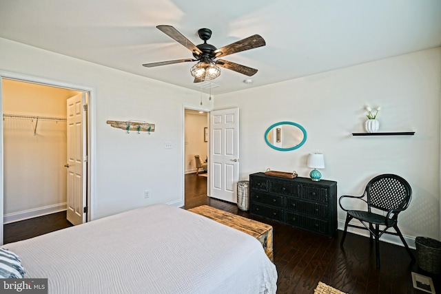 bedroom with ceiling fan, a walk in closet, a closet, and dark hardwood / wood-style flooring