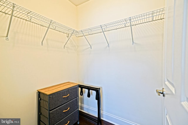 walk in closet featuring dark hardwood / wood-style flooring