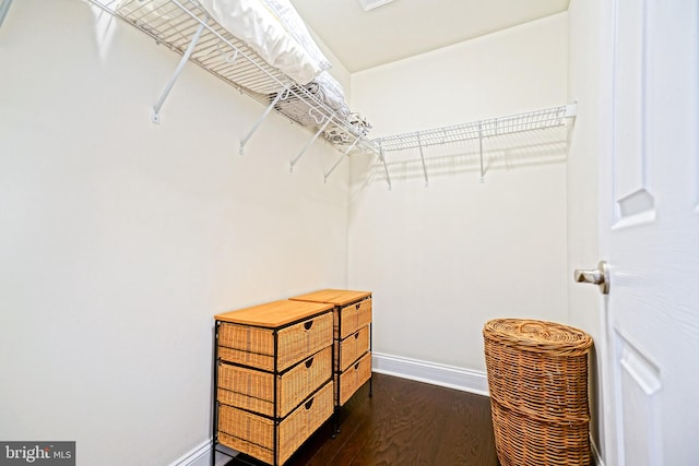 walk in closet featuring wood-type flooring