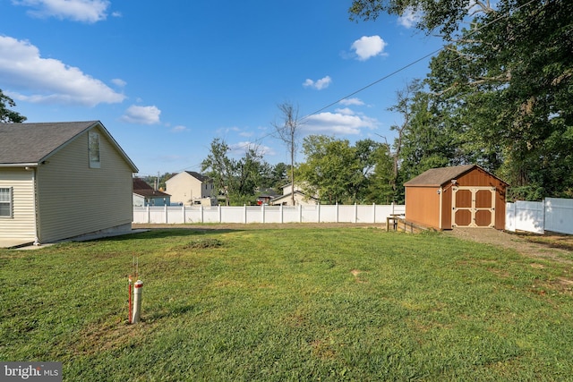 view of yard featuring a shed