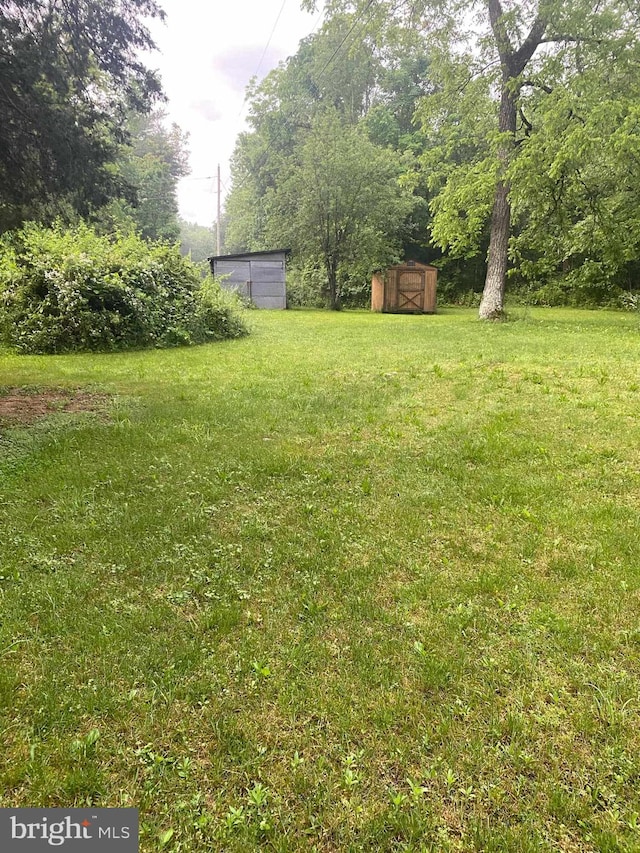 view of yard featuring a storage shed