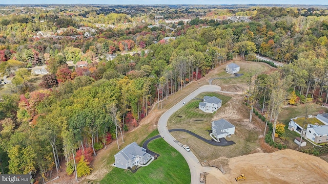 bird's eye view