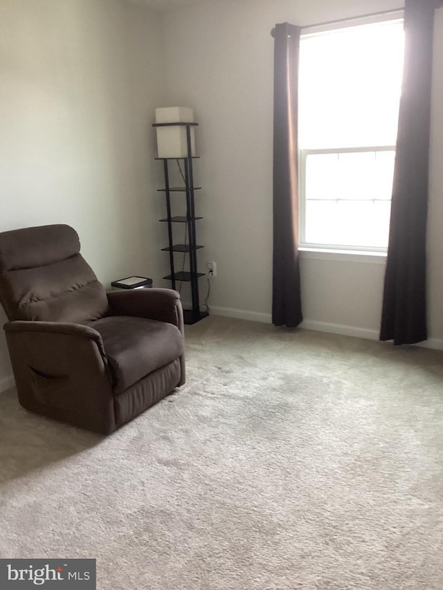 sitting room with light carpet