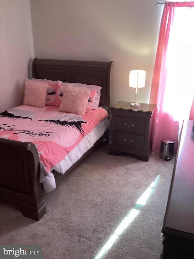 carpeted bedroom with multiple windows