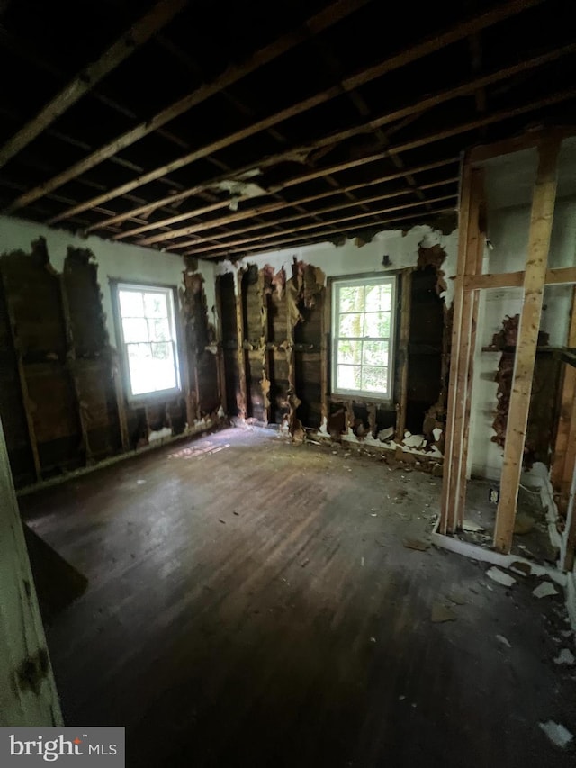 miscellaneous room featuring a wealth of natural light