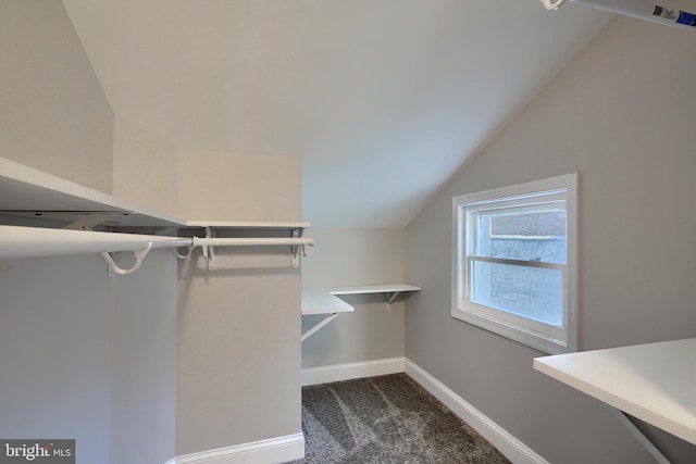 spacious closet featuring vaulted ceiling and dark carpet