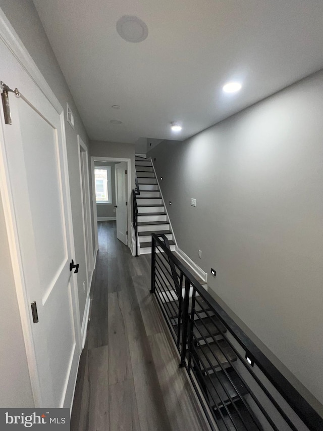 hall with dark wood-type flooring