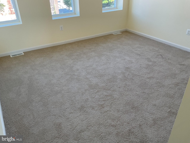 carpeted spare room with a wealth of natural light