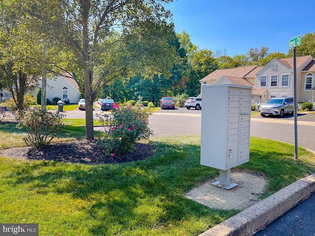 view of yard featuring a mail area