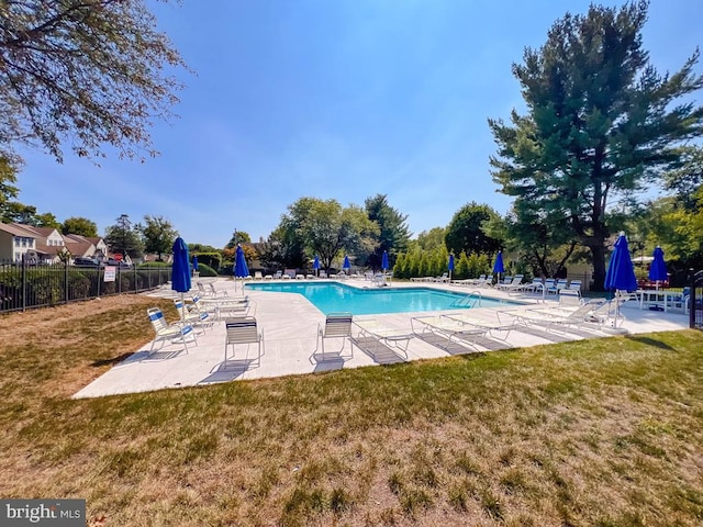 view of swimming pool with a patio area and a yard