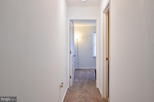 corridor with carpet floors and baseboards