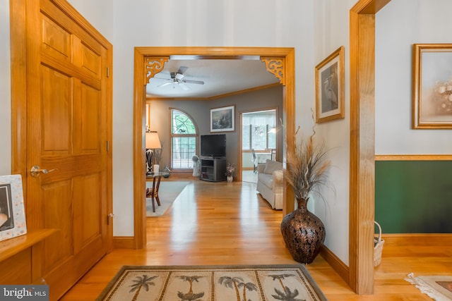 foyer featuring ceiling fan, crown molding, and light hardwood / wood-style flooring