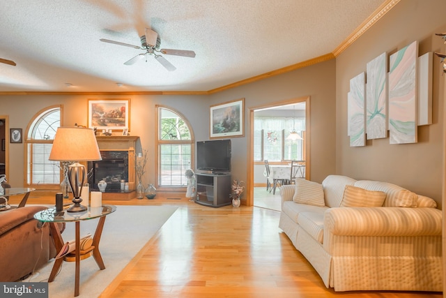 living room featuring a textured ceiling, light hardwood / wood-style flooring, ceiling fan, and crown molding