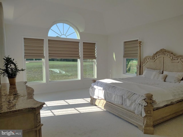 carpeted bedroom featuring multiple windows