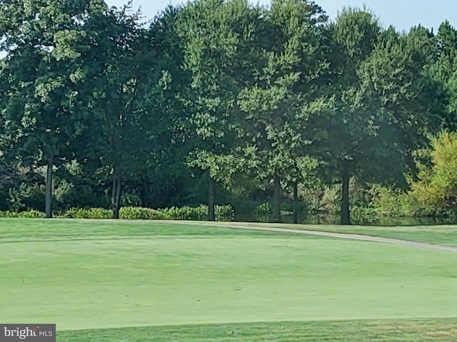 view of property's community featuring a lawn