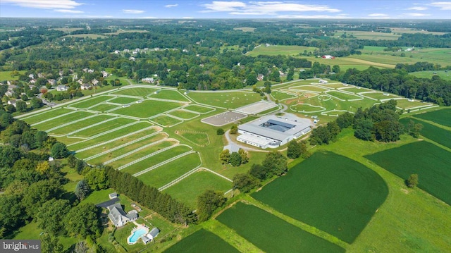 aerial view