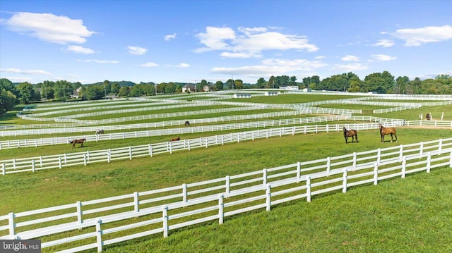 view of yard with a rural view and fence