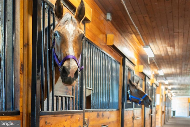 view of horse barn