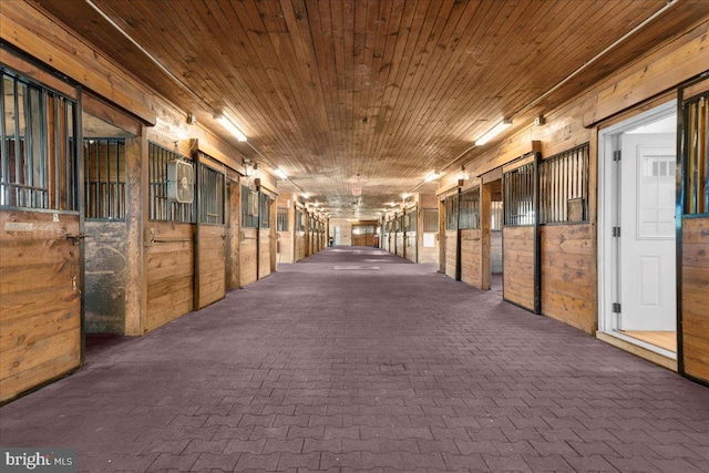 view of horse barn