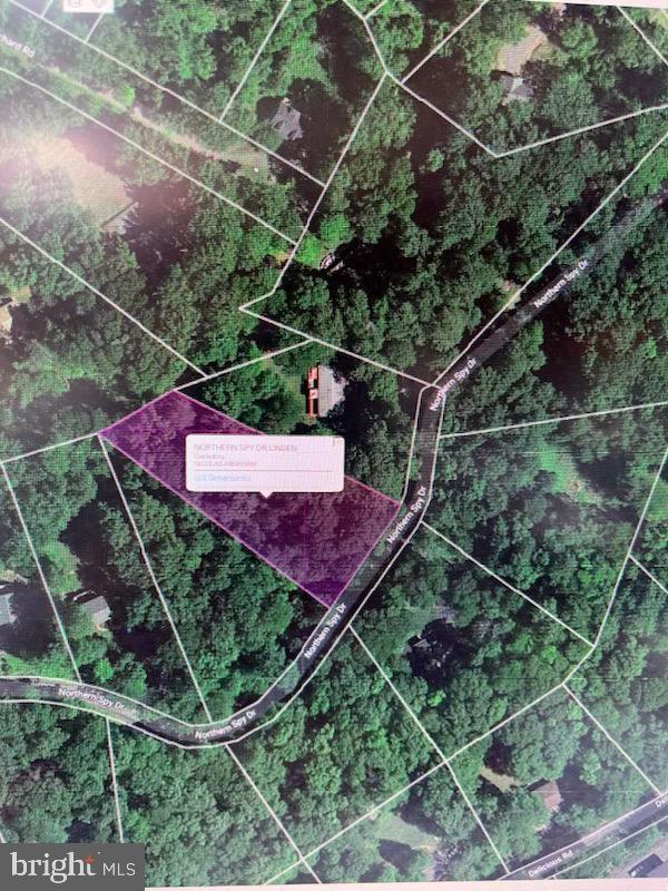 Northern Spy Dr, Linden VA, 22642 land for sale