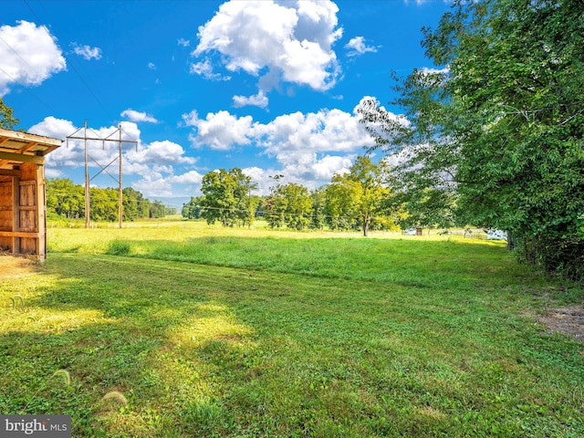 view of yard