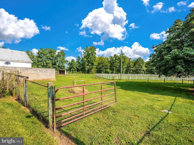 view of yard featuring a rural view