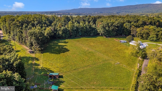 birds eye view of property with a mountain view