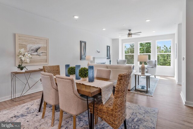 dining room with ceiling fan and light hardwood / wood-style floors